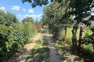 Casă - 3 camere de vanzare SUCEAVA - Suceava anunturi imobiliare Suceava