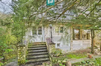 Casă P+E+M cu teren 8163 mp – Roşia Nouă (Petriş) anunturi imobiliare Arad