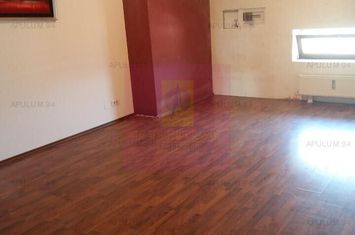 Vila zona Fundeni-Dobroiesti anunturi imobiliare Bucuresti