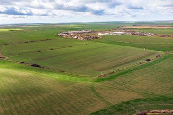 Teren de 49000 mp în Arad anunturi imobiliare Arad