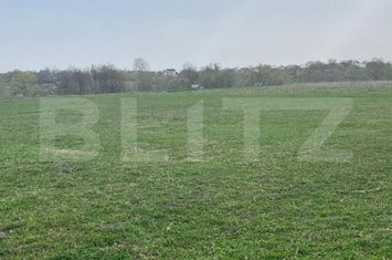 Teren de vanzare HORODNIC - Suceava anunturi imobiliare Suceava