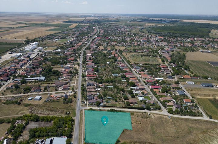 Teren intravilan 6.005 mp in Zădăreni anunturi imobiliare Arad