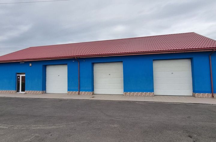 MANGALIA SPATIU INDUSTRIAL anunturi imobiliare Constanta