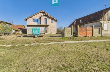 Proprietate impresionantă în Nădab anunturi imobiliare Arad