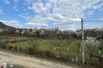 Vilă - 4 camere de vanzare TAUTII-MAGHERAUS - Maramures anunturi imobiliare Maramures