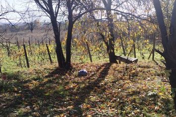 Teren de vanzare SCHITU DUCA - Iasi anunturi imobiliare Iasi