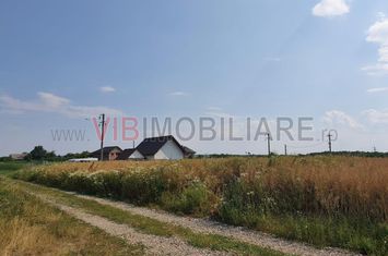 Izvorani Snagov, Str Maresal Averescu zona vile noi cu toate utilitatile anunturi imobiliare Bucuresti