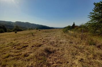 Teren construibil 6933 mp, Serres - Chrysopigi anunturi imobiliare Grecia