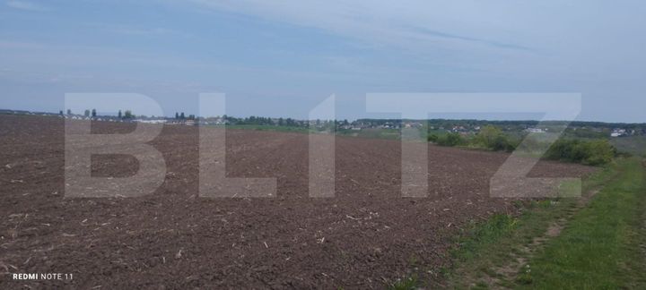 Teren de vanzare IASI - Iasi anunturi imobiliare Iasi