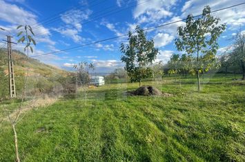 Teren de vanzare PACLISA - Alba anunturi imobiliare Alba