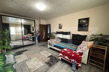 Apartament 2 camere de vanzare TOMESTI - Iasi anunturi imobiliare Iasi