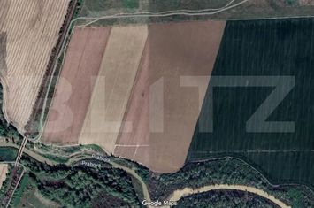 Teren de vanzare PUCHENII MARI - Prahova anunturi imobiliare Prahova