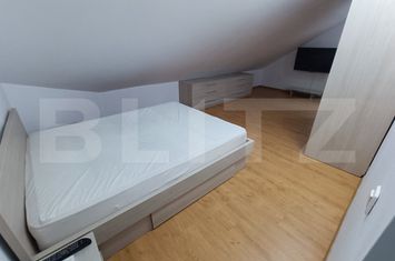 Vilă - 3 camere de inchiriat IASI - Iasi anunturi imobiliare Iasi