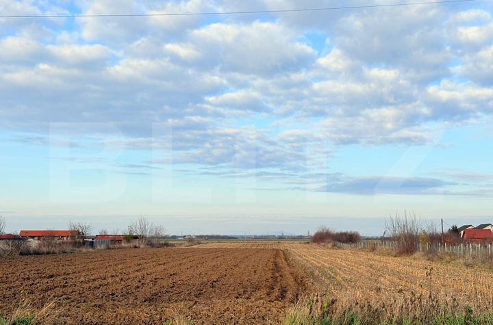 Teren de vanzare SATU MARE - Satu Mare anunturi imobiliare Satu Mare