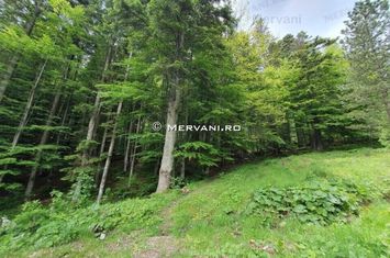 Teren de vânzare Sinaia anunturi imobiliare Prahova