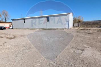 Spațiu industrial de 1,500mp de vânzare în zona Periferie anunturi imobiliare Vaslui