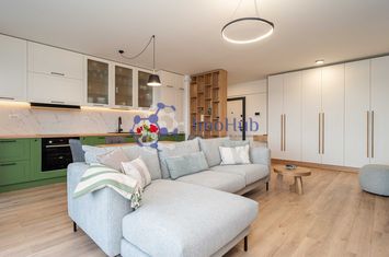 Apartament 2 camere Copou, finisaje premium, parcare inclusa anunturi imobiliare Iasi