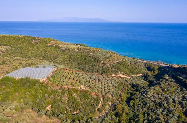 Teren construibil 11.875 mp, 450 m de plajă — Folia anunturi imobiliare Grecia
