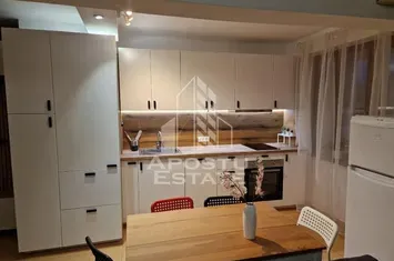 Apartament cu 2 camere ultra central Pet frendly anunturi imobiliare Timis