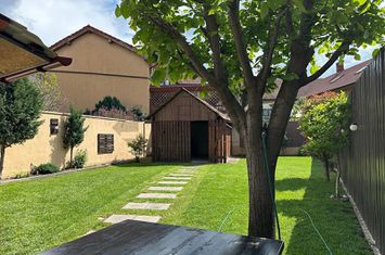 Casa singura in curte de vanzare ultracentral in Oradea anunturi imobiliare Bihor