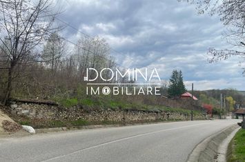 Teren de vanzare RUNCU - Gorj anunturi imobiliare Gorj