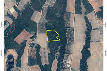 Teren 8.437 mp în Gerontas, Nestos anunturi imobiliare Grecia