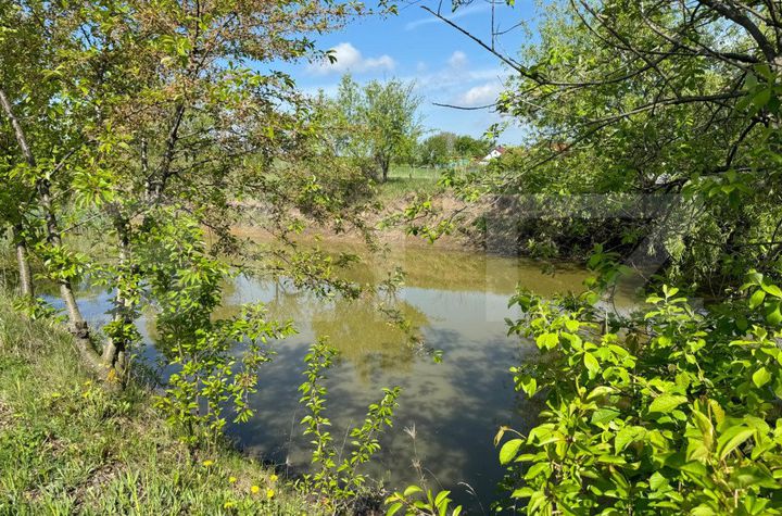 Teren de vanzare BOTOSANITA MARE - Suceava anunturi imobiliare Suceava