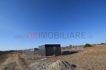 Balotesti Orhideelor 540m2 intravilan deschidere 23ml anunturi imobiliare Bucuresti