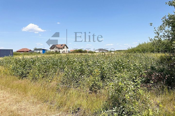 Teren intravilan 1114 mp Sanmartin anunturi imobiliare Bihor