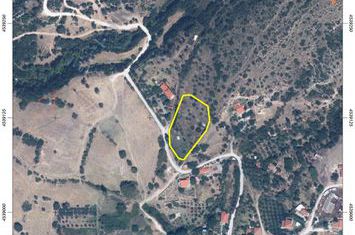 Teren construibil 2.993 mp în Ano Lefki anunturi imobiliare Grecia