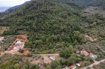 Teren construibil 5.275 mp în Koinira, Thassos anunturi imobiliare Grecia