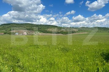 Teren de vanzare BISTRITA - Bistrita-Nasaud anunturi imobiliare Bistrita-Nasaud