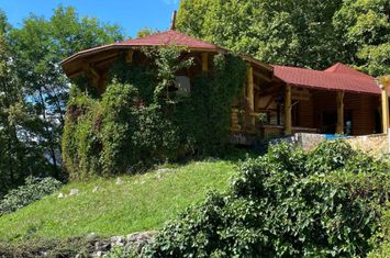 Casă - 6 camere de vanzare CARBUNARI - Maramures anunturi imobiliare Maramures