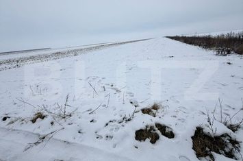 Teren de vanzare TARLUNGENI - Brasov anunturi imobiliare Brasov