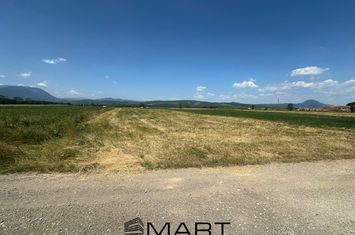 Teren de vanzare RASNOV ROMACRIL - Brasov anunturi imobiliare Brasov