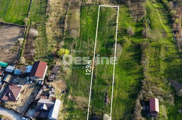 Teren de vanzare MOGOSESTI - Iasi anunturi imobiliare Iasi