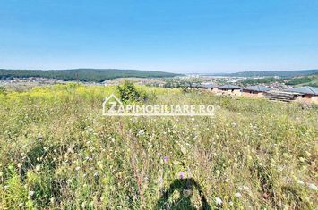 Teren  intravilan 702 mp. Corunca anunturi imobiliare Mures