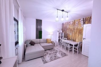 Apartament 2 camere de vanzare IASI - Iasi anunturi imobiliare Iasi