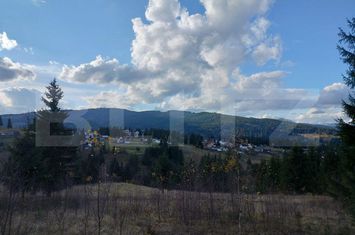 Teren de vanzare SUCEAVA - Suceava anunturi imobiliare Suceava