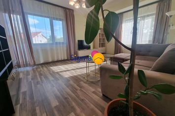 Apartament 2 camere de inchiriat BUCIUM - Iasi anunturi imobiliare Iasi