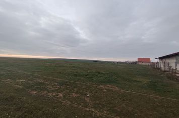 Teren de vanzare MARGHITA - Bihor anunturi imobiliare Bihor