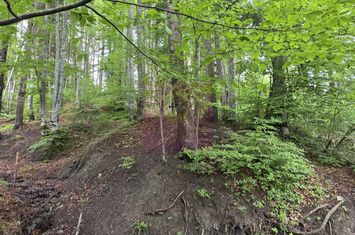 Teren intravilan 720 mp Sinaia anunturi imobiliare Prahova