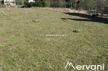Teren Intravilan de vanzare BUSTENI - Prahova anunturi imobiliare Prahova