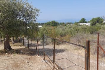Teren 2.088 mp în Ormos Prinou, vedere la mare anunturi imobiliare Grecia