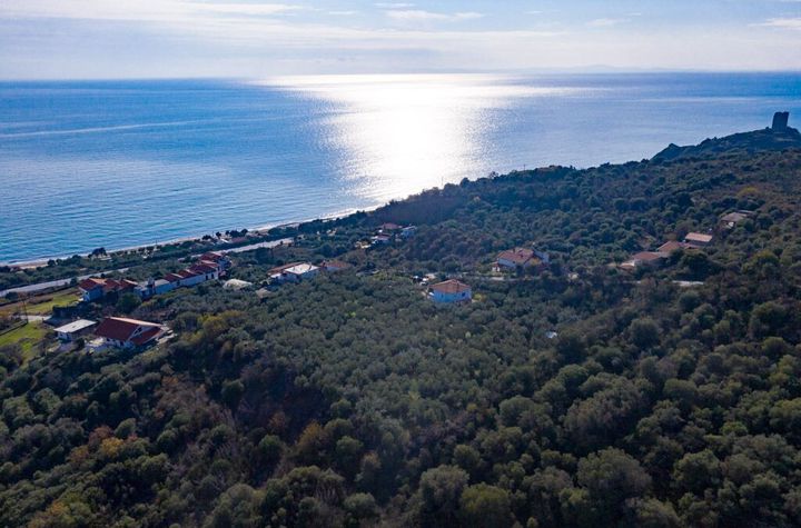 Teren construibil 2800 mp, plaja Folia anunturi imobiliare Grecia
