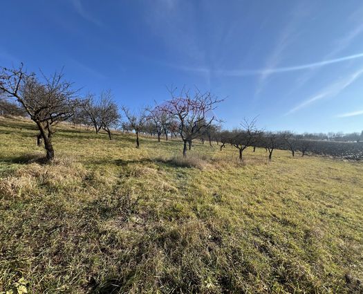 Teren Intravilan Badeni, 34425 mp