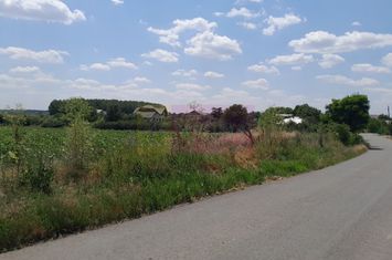 TEISOR (GR) - 2 TERENURI LIPITE (TOT. 16500 MP) DE VANZARE 90K EUR NEG anunturi imobiliare Giurgiu