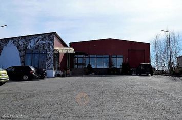 Bradu - Geamana, hala moderna 616 mp, optional - vila alaturata! anunturi imobiliare Arges