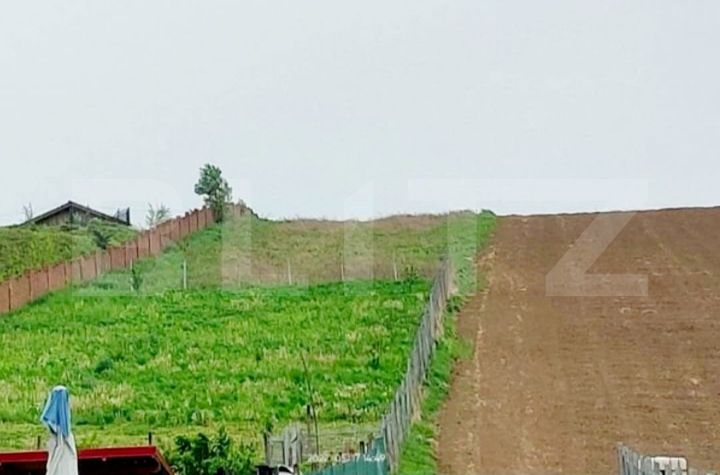 Teren de vanzare LIVEZENI - Mures anunturi imobiliare Mures