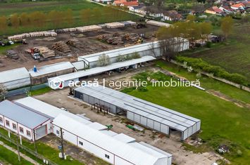Hale depozitare/producție 2.000 mp si 10.000 mp teren în Pecica anunturi imobiliare Arad